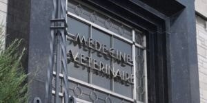 Grande visite 2025 de la Faculté de médecine vétérinaire